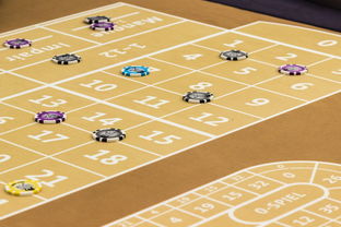 华体会官网体育-意甲防守战术转换对定位球防守成功率的影响分析，意大利足球防守反击打法